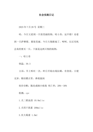 社会实践日记