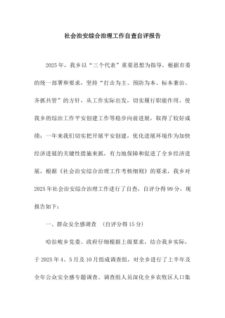 社会治安综合治理工作自查自评报告