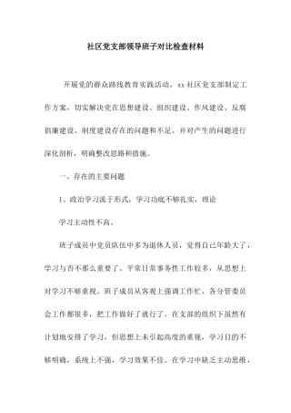 社区党支部领导班子对照检查材料