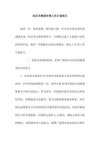 社区共青团年度工作计划范文
