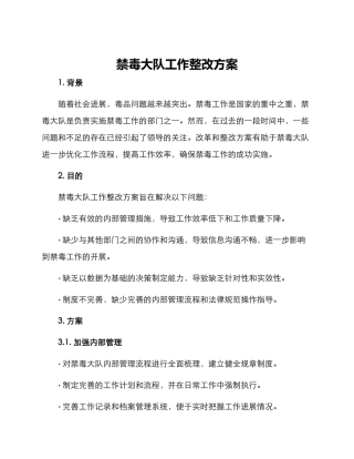 禁毒大队工作整改方案