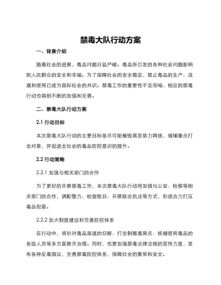 禁毒大队行动方案
