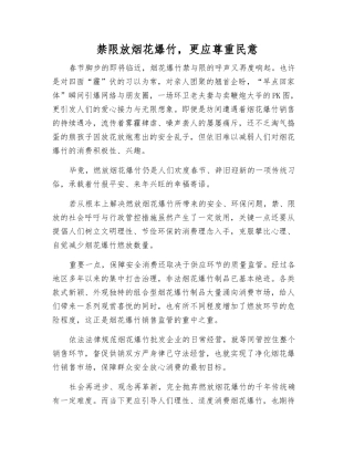 禁限放烟花爆竹-更应尊重民意