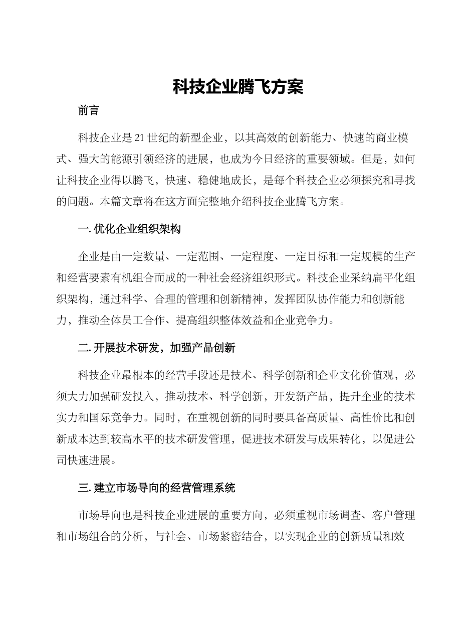 科技企业腾飞方案_第1页