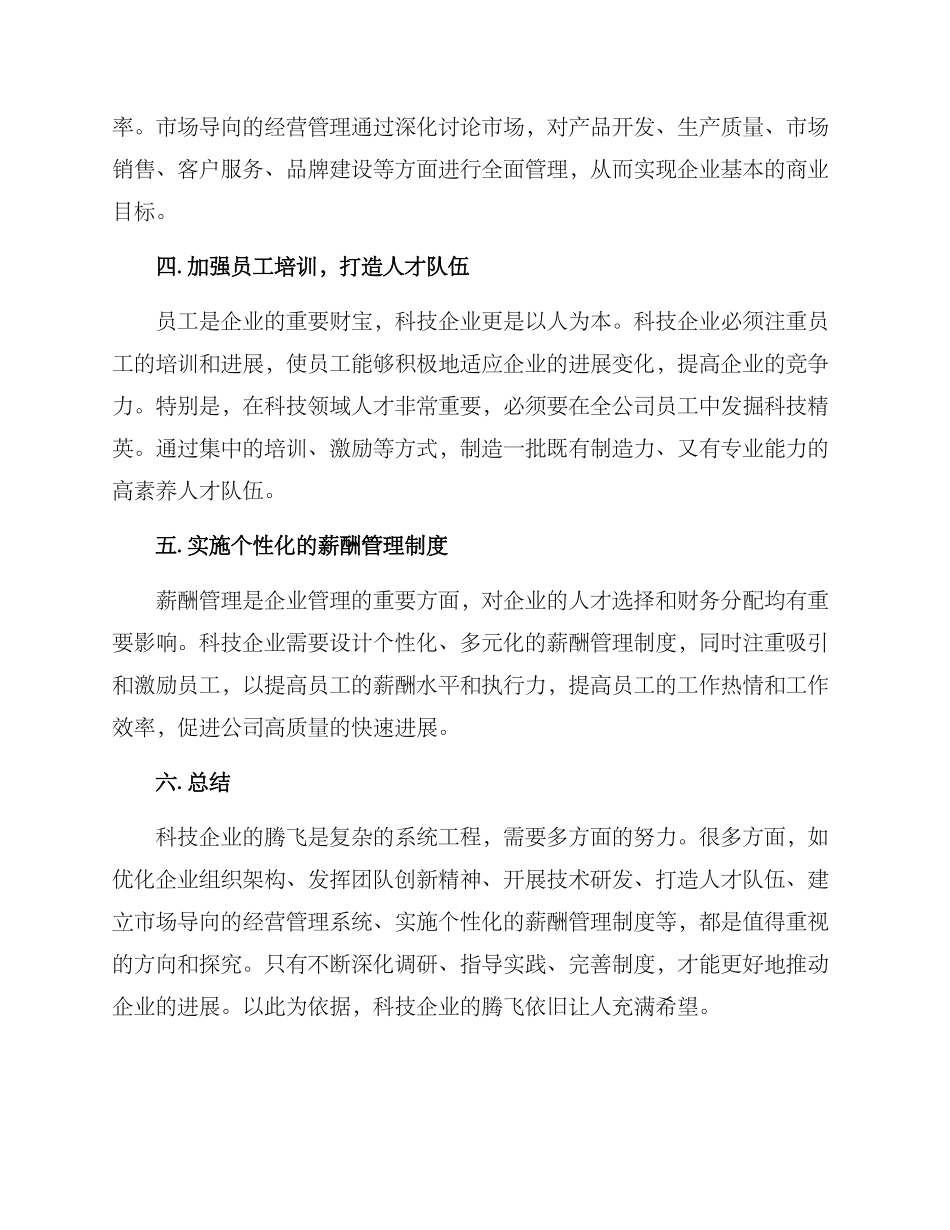 科技企业腾飞方案_第2页