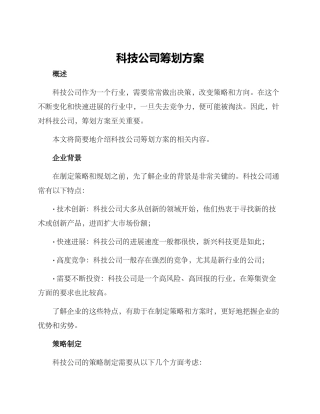 科技公司筹划方案