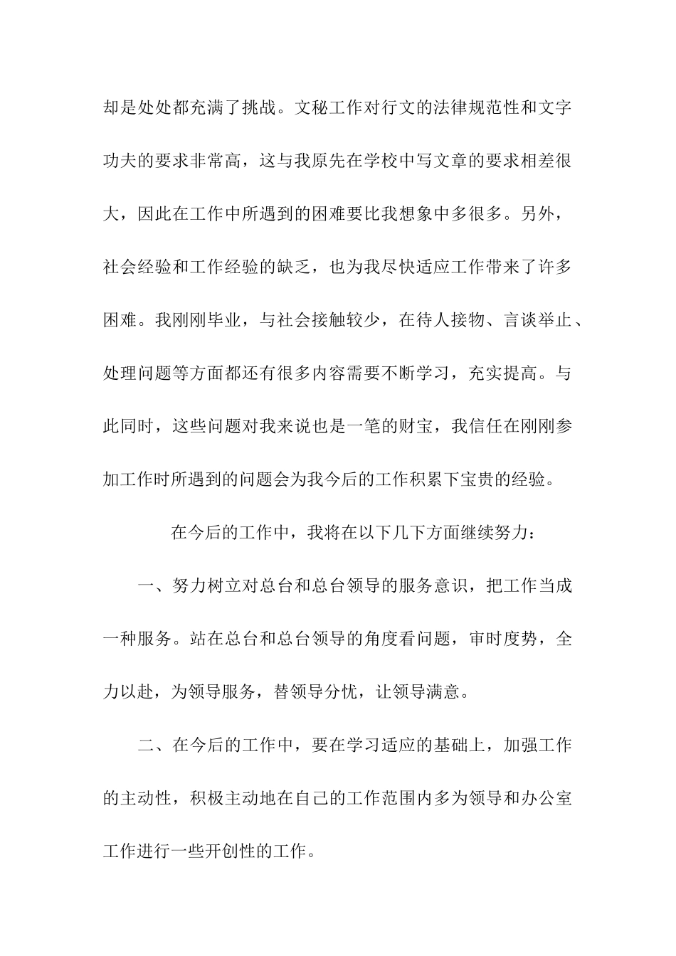 秘书试用期工作总结_第2页