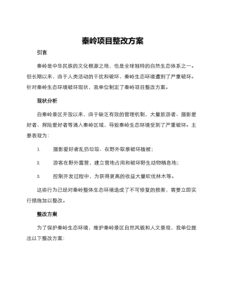 秦岭项目整改方案
