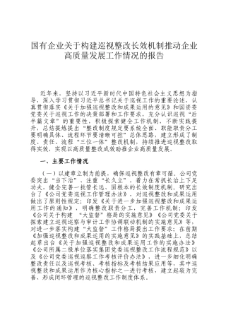 国有企业关于构建巡视整改长效机制推动企业高质量发展工作情况的报告