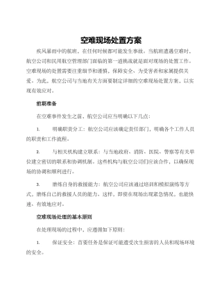 空难现场处置方案