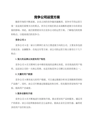 竞争公司运营方案