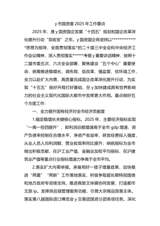 2025年国资委工作要点