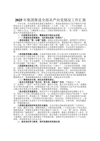 2025年集团推进全面从严治党情况工作汇报