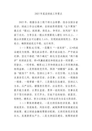 2025年某县财政工作要点