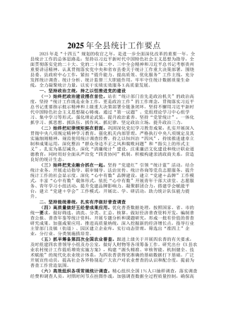 2025年全县统计工作要点