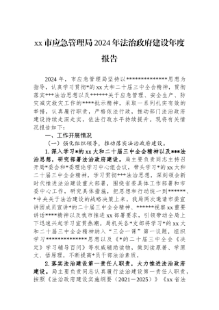 XX市应急管理局2024年法治政府建设年度报告