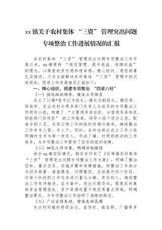 XX镇关于农村集体+“三资”+管理突出问题专项整治工作进展情况的汇报