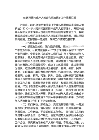 X区开展未成年人教育和法治保护工作情况汇报
