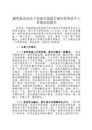 城管执法局关于党建引领提升城市管理水平工作情况的报告