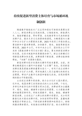 持续促进新型消费主体培育与市场循环机制创新