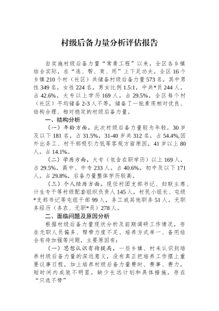 村级后备力量分析评估报告
