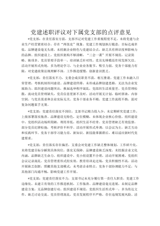 党建述职评议对下属党支部的点评意见