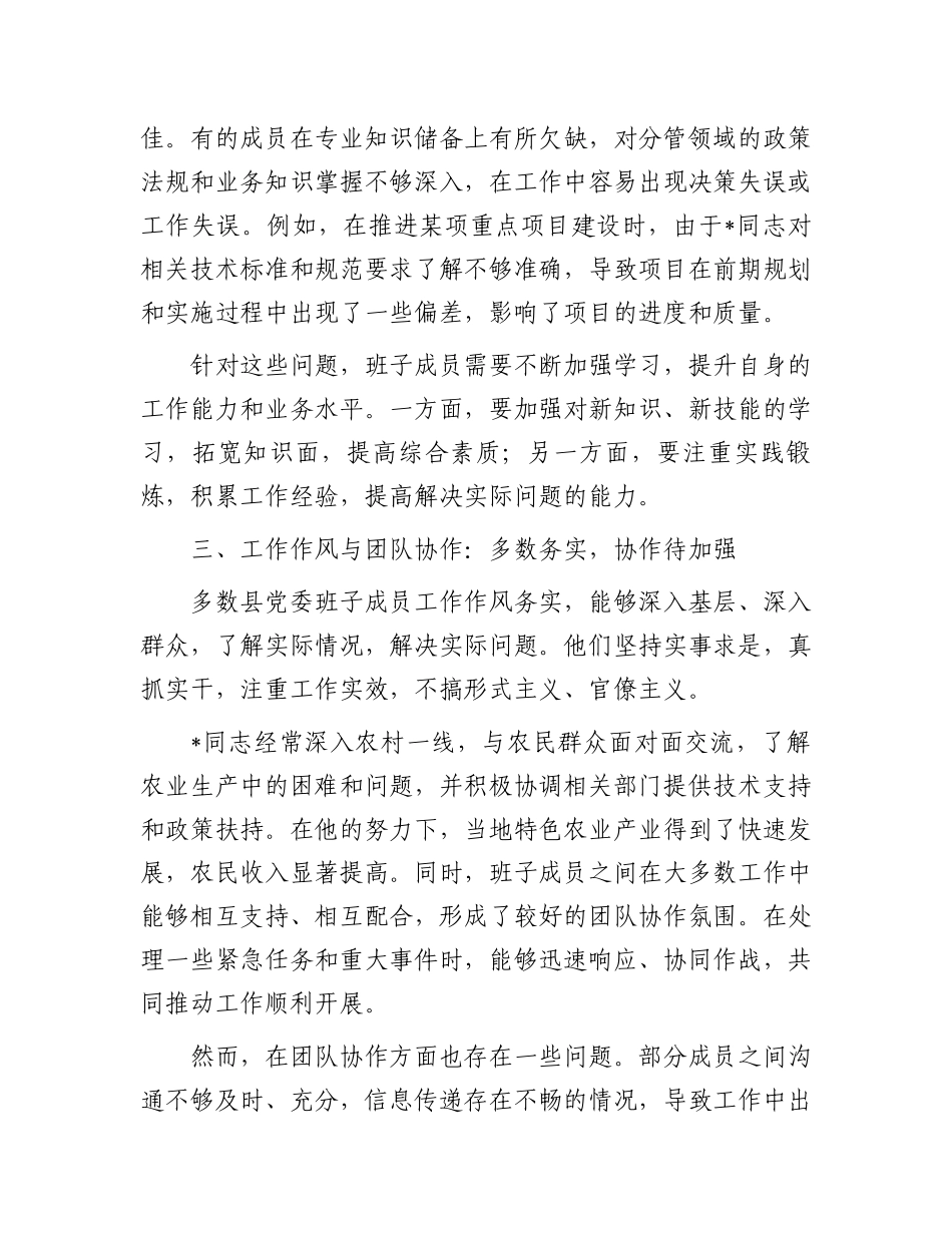 对县党委班子成员的点评材料_第3页