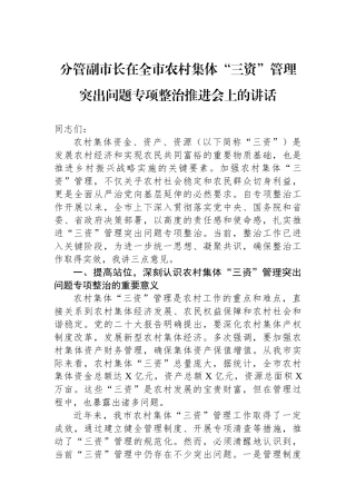 分管副市长在全市农村集体“三资”管理突出问题专项整治推进会上的讲话