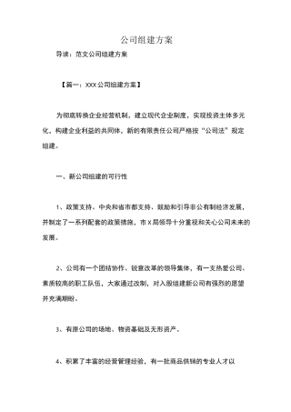 公司组建方案