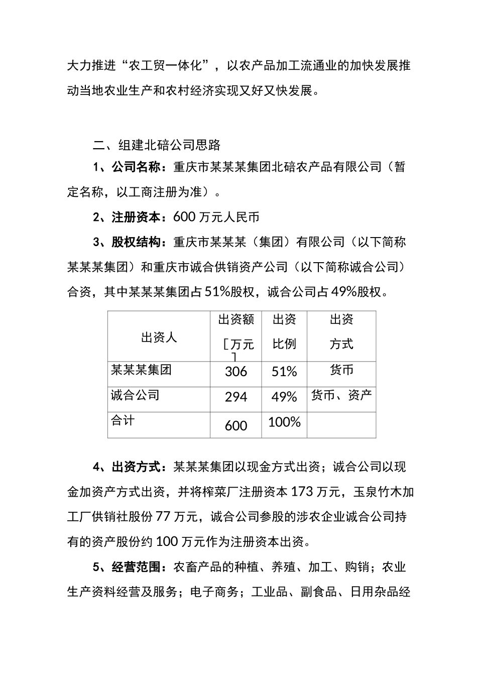 公司组建方案范本_第2页