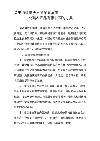 公司组建方案范本