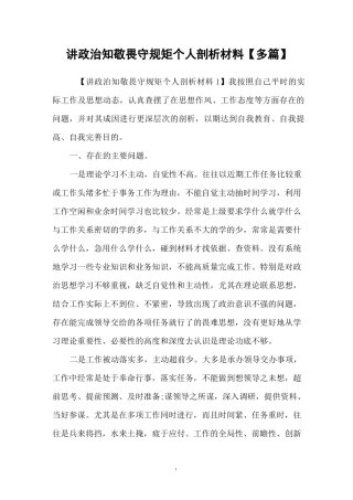 讲政治知敬畏守规矩个人剖析材料【多篇】