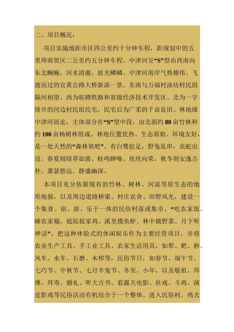 民俗文化村策划方案汇总_第2页