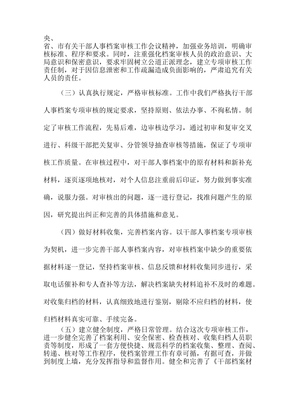 档案专项审核工作报告_第3页