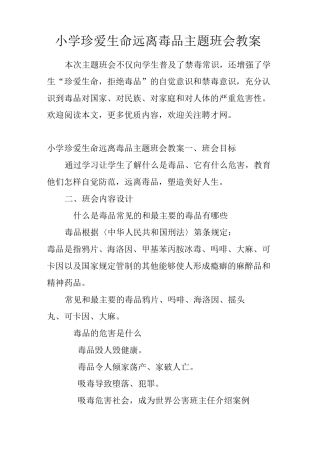 小学珍爱生命远离毒品主题班会教案