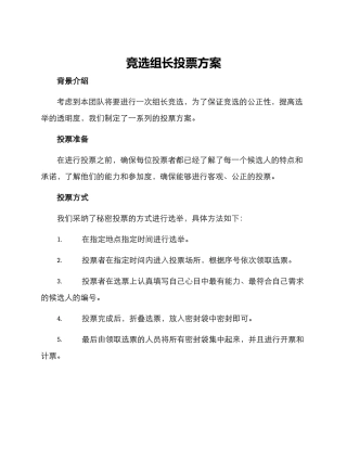 竞选组长投票方案