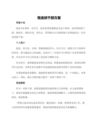 竞选班干部方案