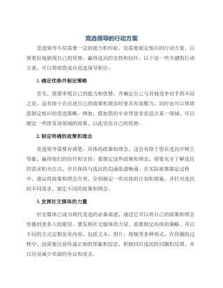 竞选领导的行动方案