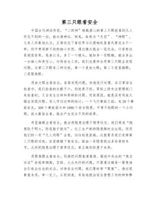 第三只眼看安全