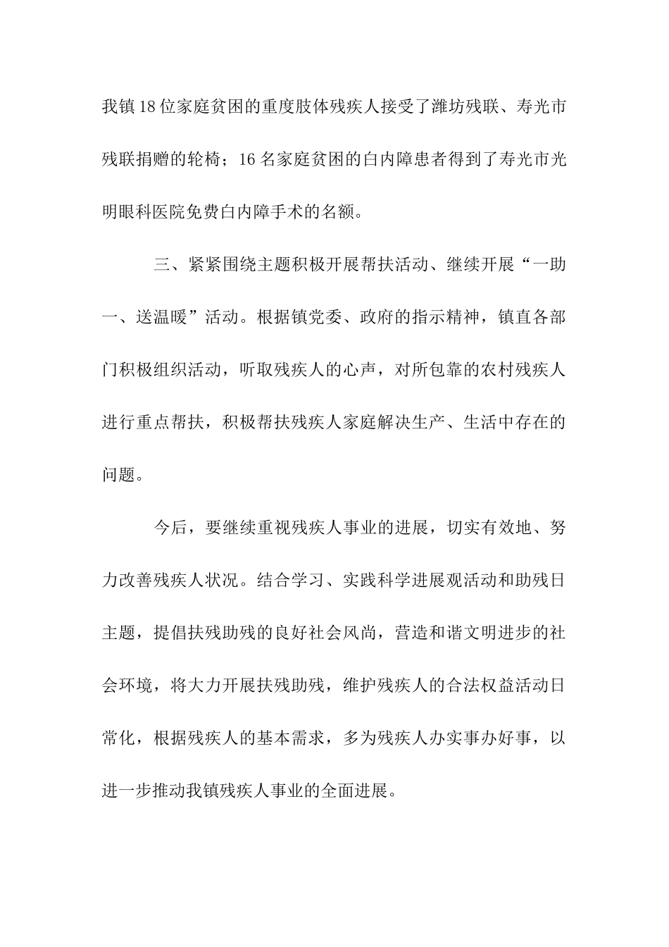 第二十三次全国助残日活动总结_第2页