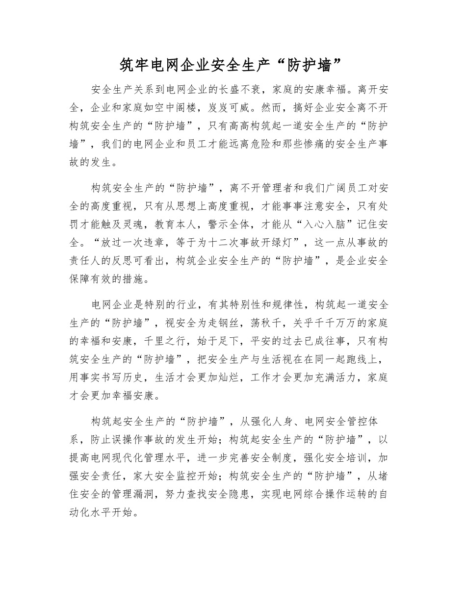 筑牢电网企业安全生产“防护墙”_第1页