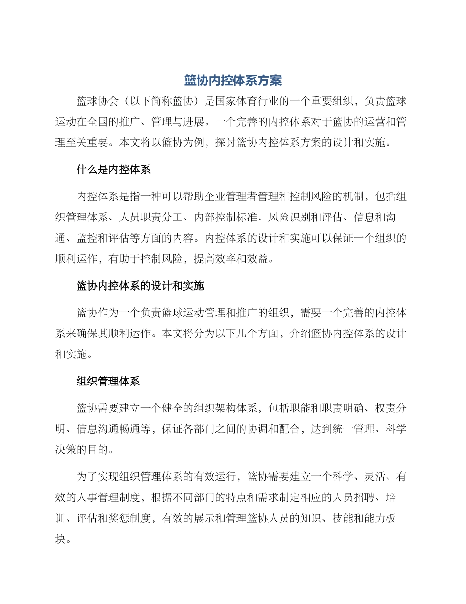 篮协内控体系方案_第1页