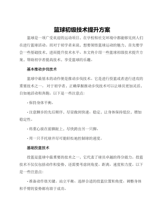 篮球初级技术提升方案
