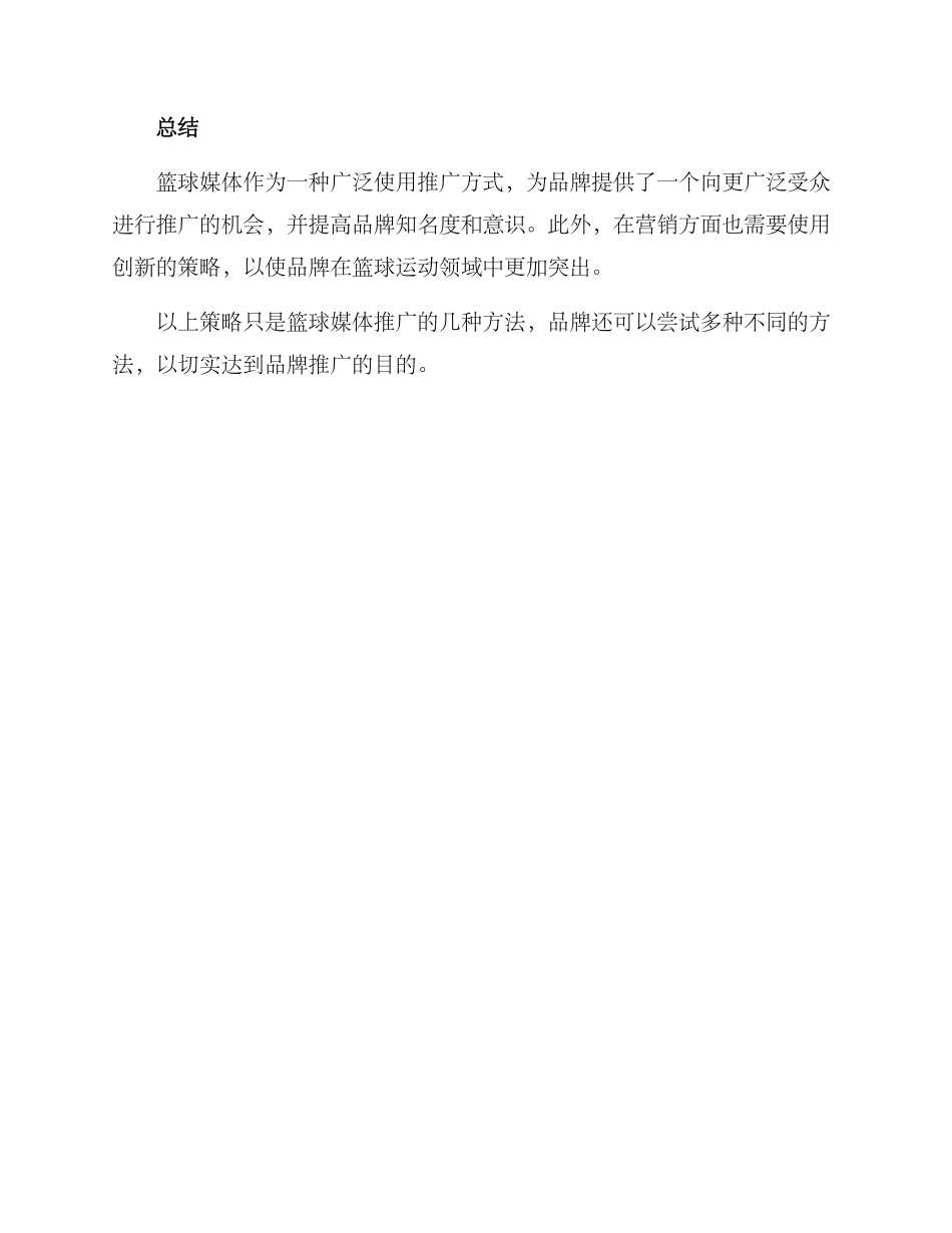 篮球媒体推广方案_第3页