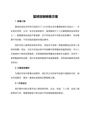 篮球定制销售方案