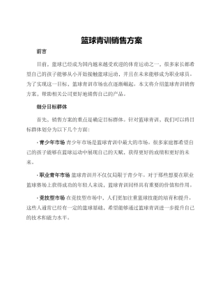 篮球青训销售方案