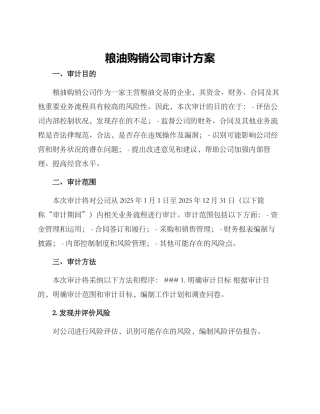 粮油购销公司审计方案