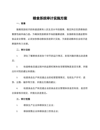 粮食系统审计实施方案