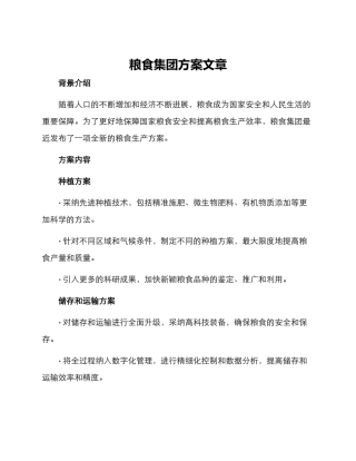 粮食集团方案文章