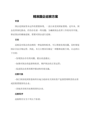 精准国企巡察方案